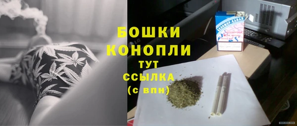 ГАЛЛЮЦИНОГЕННЫЕ ГРИБЫ Лихославль