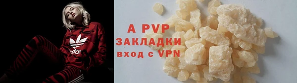 ГАЛЛЮЦИНОГЕННЫЕ ГРИБЫ Лихославль