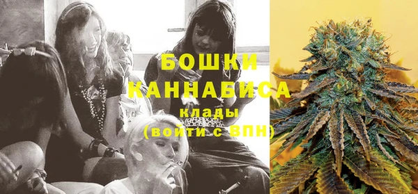 ГАЛЛЮЦИНОГЕННЫЕ ГРИБЫ Лихославль