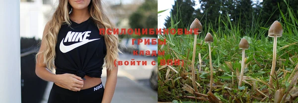 2c-b Липки