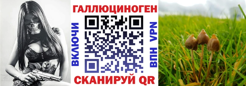 Псилоцибиновые грибы Cubensis  kraken tor  Дрезна  закладка 